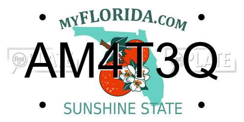 AM4T3Q Florida License Plate