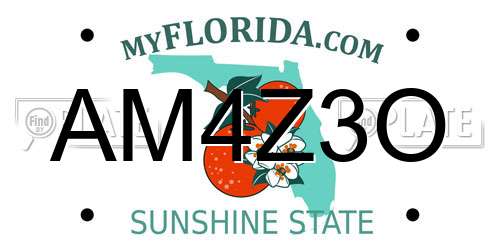 AM4Z3O Florida License Plate