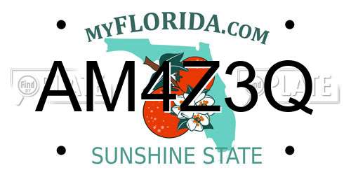 AM4Z3Q Florida License Plate