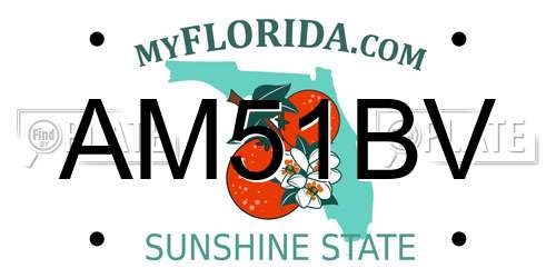 AM51BV Florida License Plate