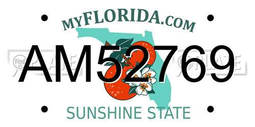 AM52769 Florida License Plate