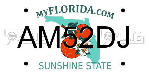 AM52DJ Florida License Plate