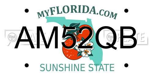 AM52QB Florida License Plate