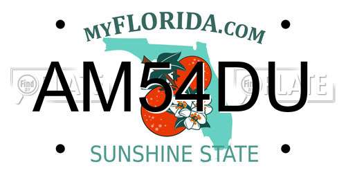 AM54DU Florida License Plate