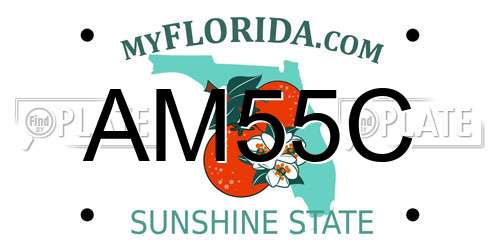 AM55C Florida License Plate