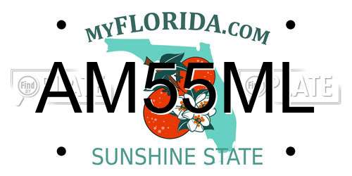 AM55ML Florida License Plate
