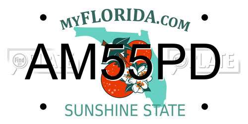 AM55PD Florida License Plate
