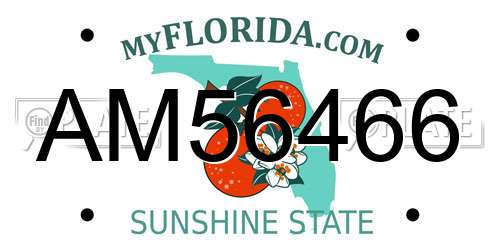 AM56466 Florida License Plate