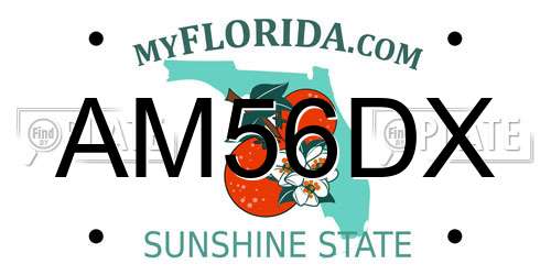 AM56DX Florida License Plate