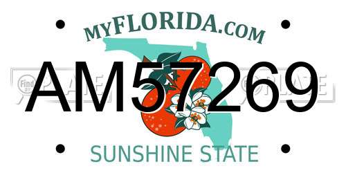 AM57269 Florida License Plate