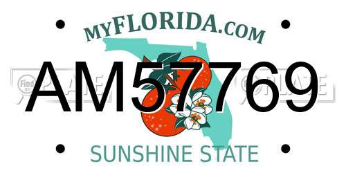 AM57769 Florida License Plate