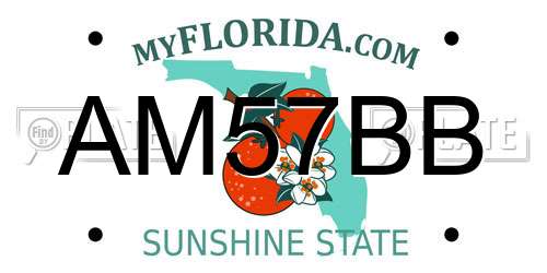 AM57BB Florida License Plate