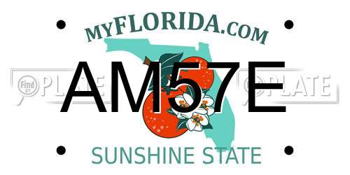 AM57E Florida License Plate