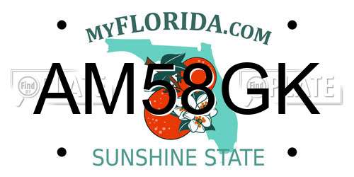 AM58GK Florida License Plate