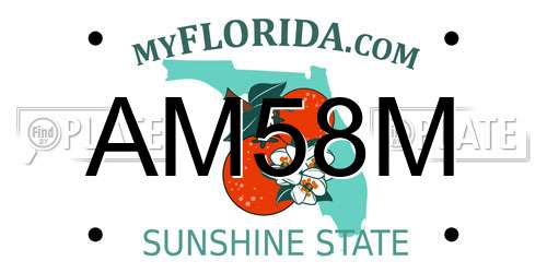 AM58M Florida License Plate