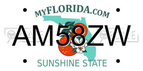 AM58ZW Florida License Plate