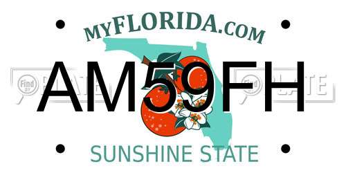 AM59FH Florida License Plate