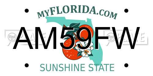 AM59FW Florida License Plate