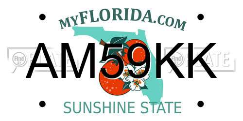 AM59KK Florida License Plate