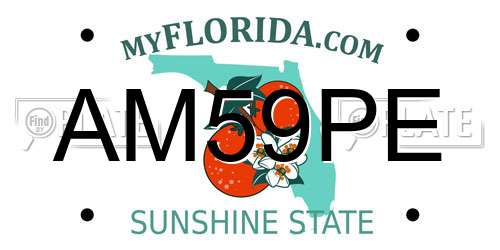 AM59PE Florida License Plate