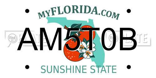 AM5T0B Florida License Plate