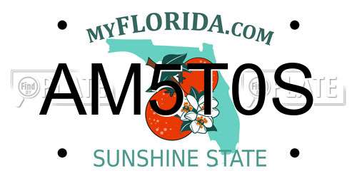 AM5T0S Florida License Plate