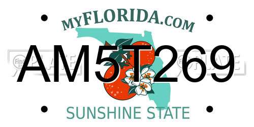 AM5T269 Florida License Plate