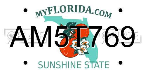 AM5T769 Florida License Plate