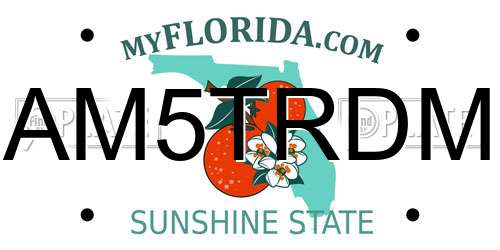AM5TRDM Florida License Plate