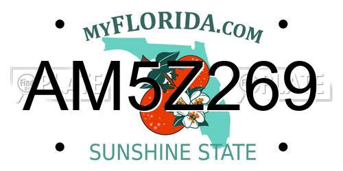AM5Z269 Florida License Plate
