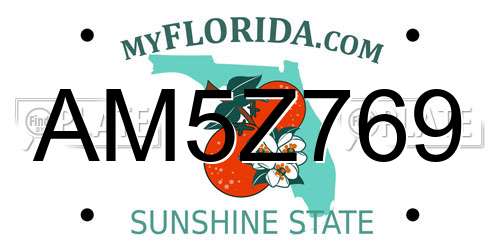 AM5Z769 Florida License Plate