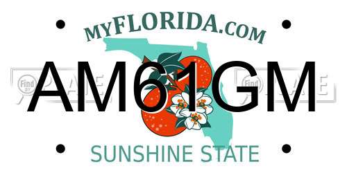 AM61GM Florida License Plate