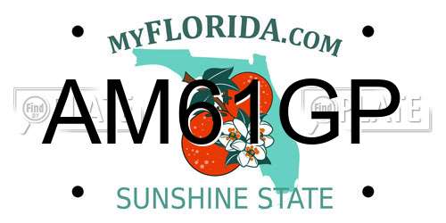 AM61GP Florida License Plate