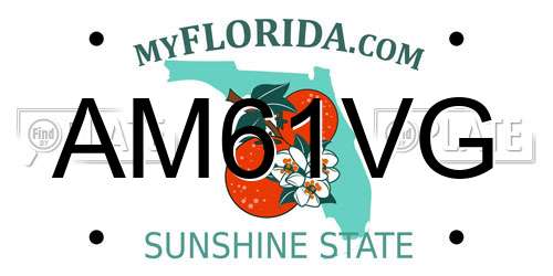 AM61VG Florida License Plate