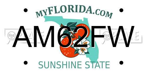 AM62FW Florida License Plate