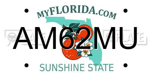 AM62MU Florida License Plate