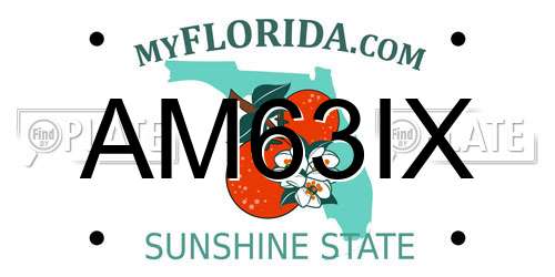 AM63IX Florida License Plate