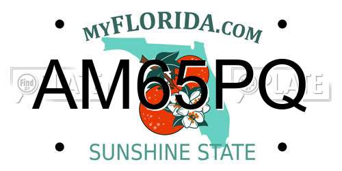 AM65PQ Florida License Plate