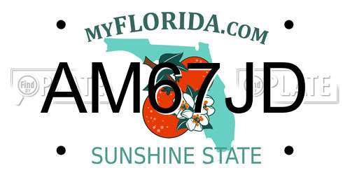 AM67JD Florida License Plate
