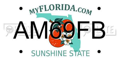 AM69FB Florida License Plate