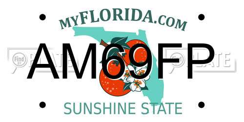 AM69FP Florida License Plate