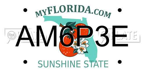 AM6P3E Florida License Plate