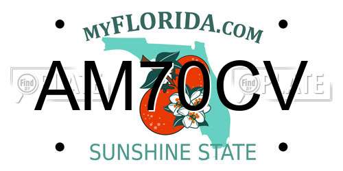 AM70CV Florida License Plate