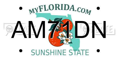 AM71DN Florida License Plate