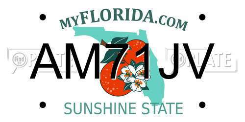 AM71JV Florida License Plate