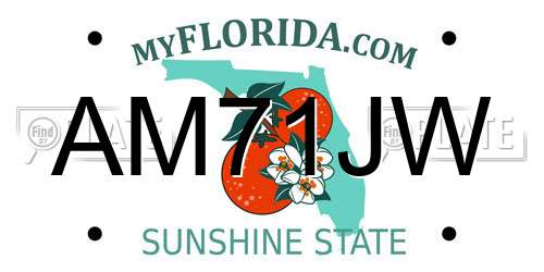 AM71JW Florida License Plate