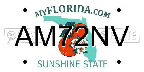 AM72NV Florida License Plate