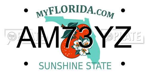 AM73YZ Florida License Plate