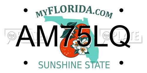 AM75LQ Florida License Plate