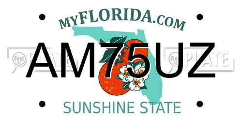 AM75UZ Florida License Plate